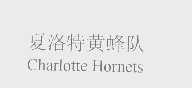 黄蜂队   HORNETS