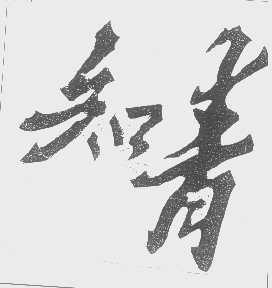 知青