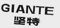 坚特   GIANTE