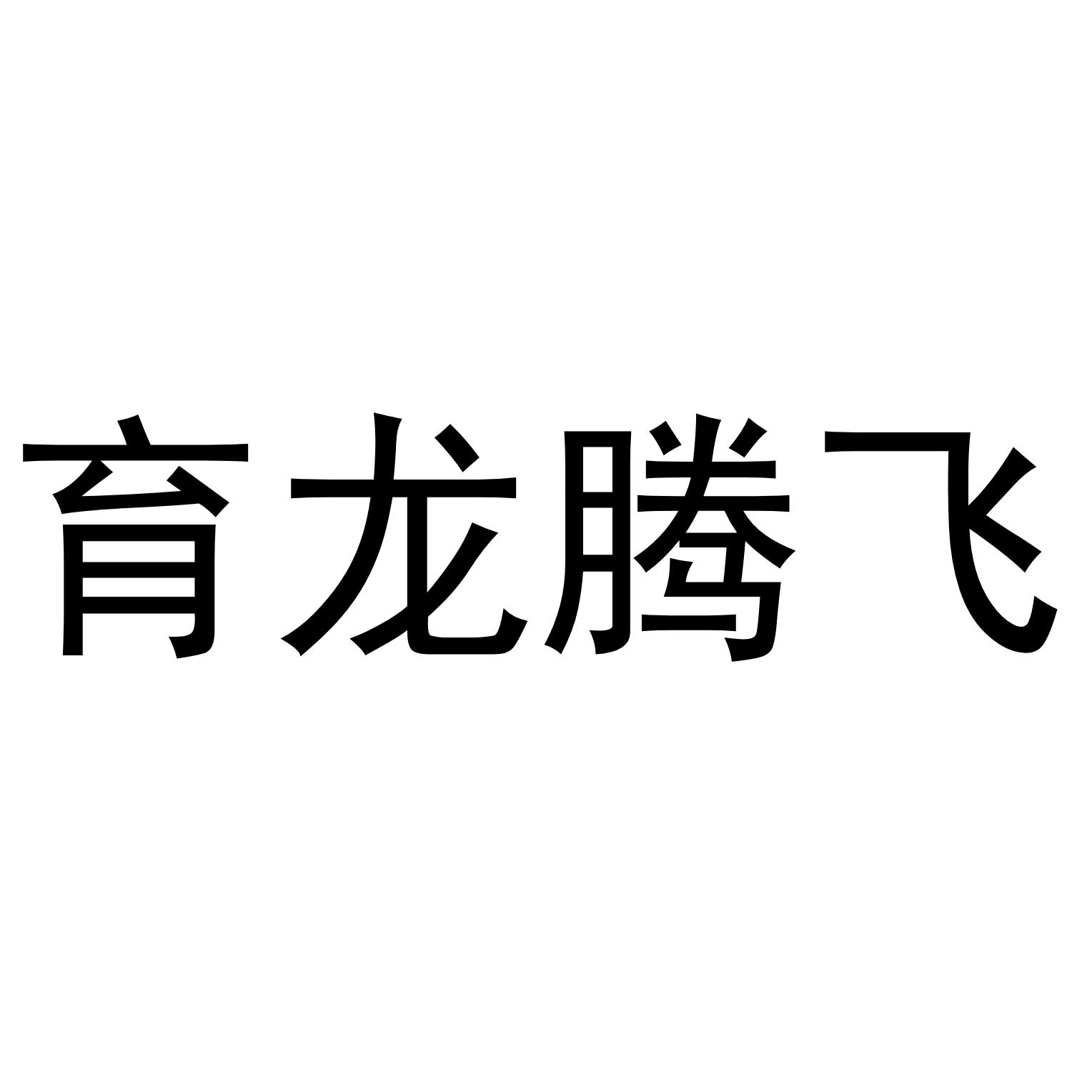 育龙腾飞