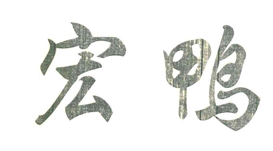 宏鸭