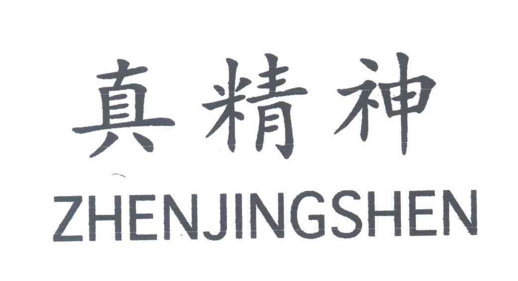 真精神