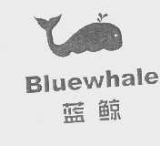 蓝鲸   BLUEWHALE