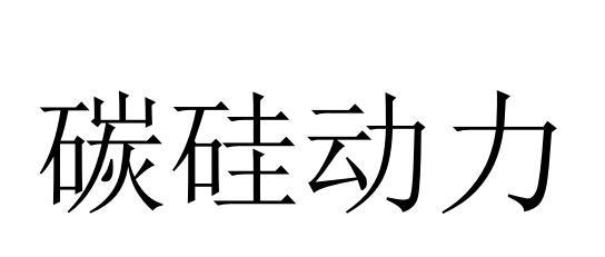 碳硅动力