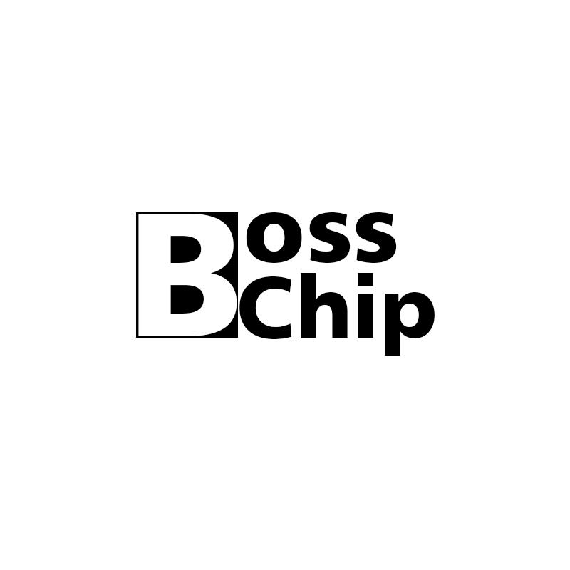 B OSS CHIP