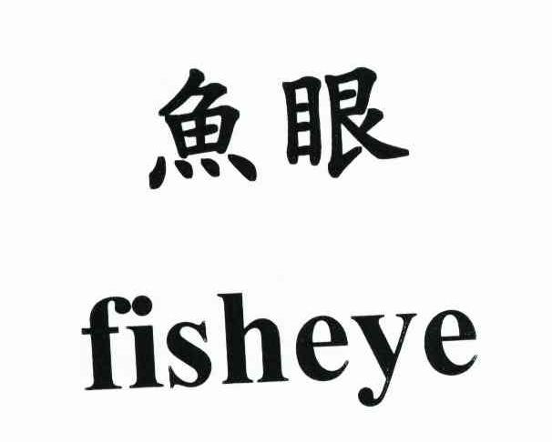 鱼眼 FISHEYE