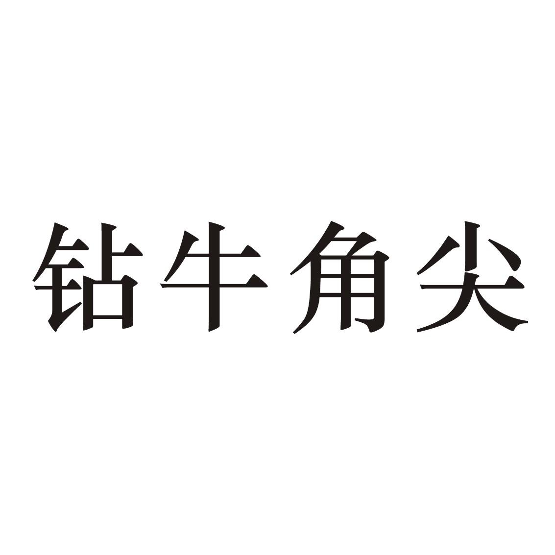 钻牛角尖
