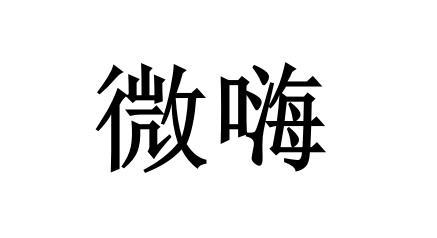微嗨