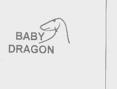 BABY DRAGON