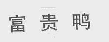 富贵鸭