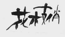 花枝俏