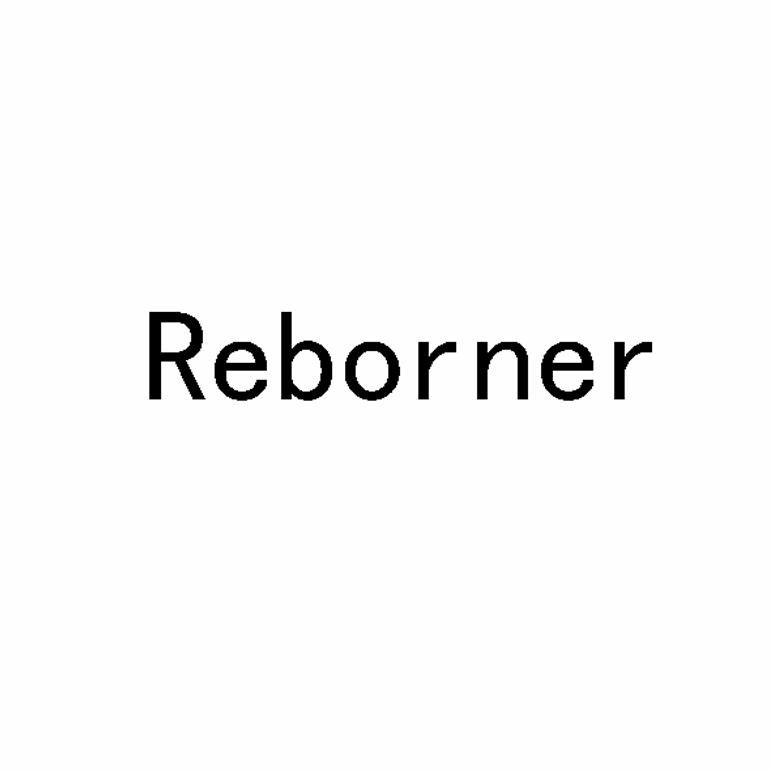 REBORNER