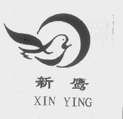 新鹰