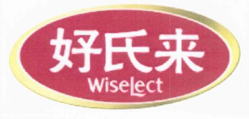 好氏来 WISELECT