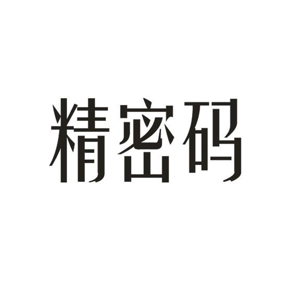 精密码