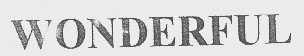 WONDERFUL