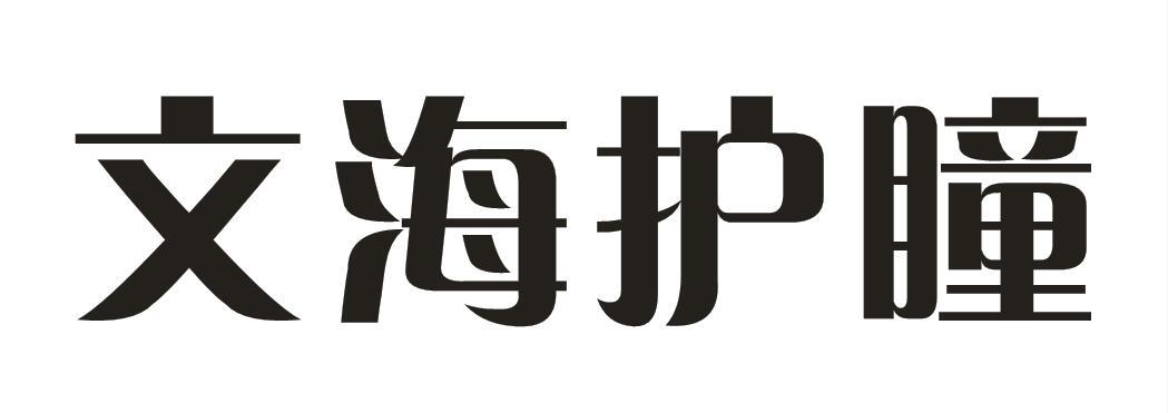 文海护瞳