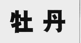 牡丹