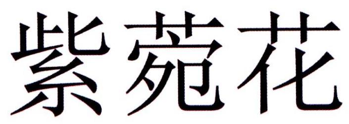 紫菀花