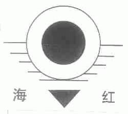 海红