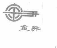 金开