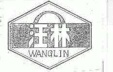 汪林
