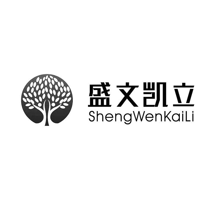 盛文凯立