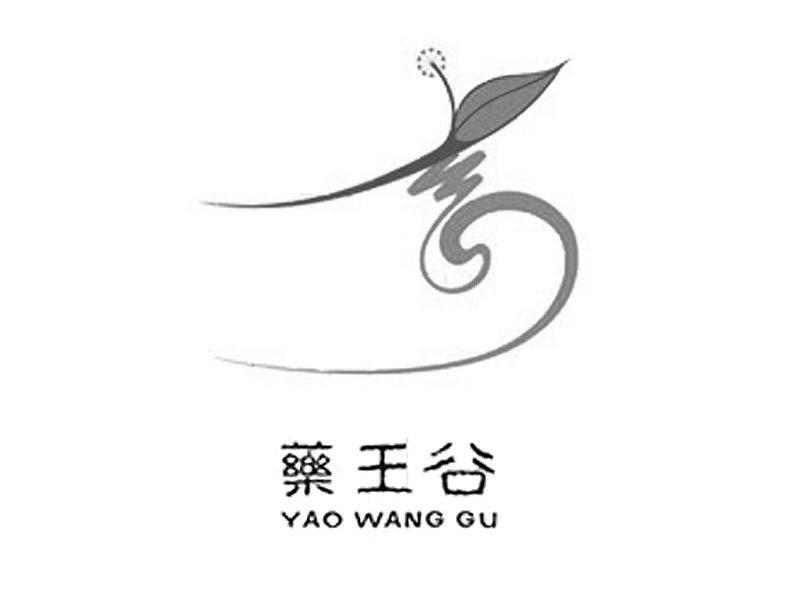 药王谷