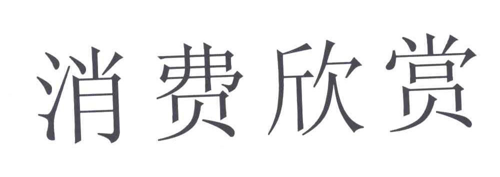 消费欣赏