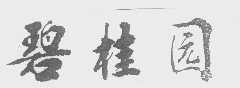 碧桂园