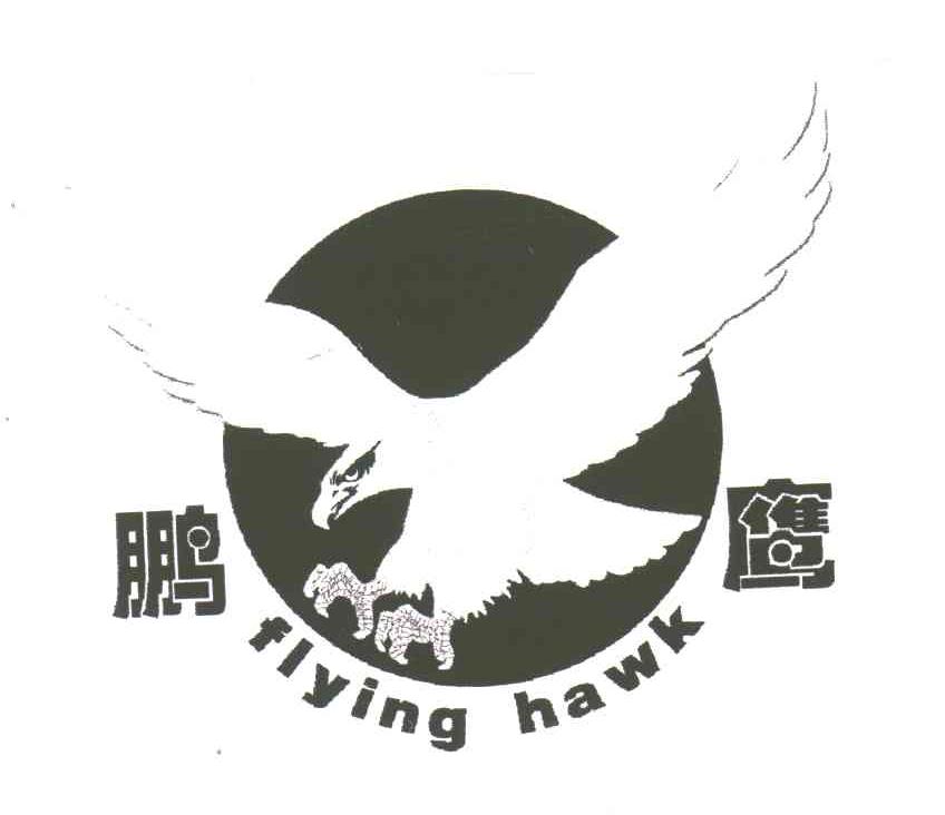 鹏鹰;FLYING HAWK