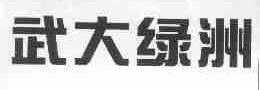 武大绿洲