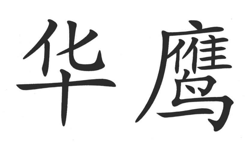 华鹰
