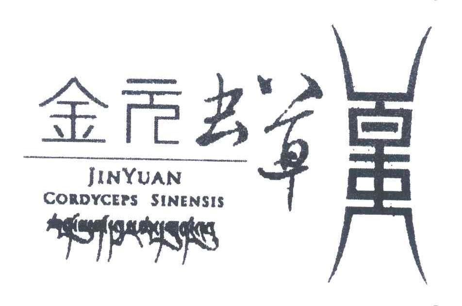 金元虫草;JIN YUAN CORDYCEPS SINENSIS