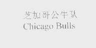 芝加哥公牛队   CHICAGO BULLS