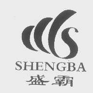 盛霸