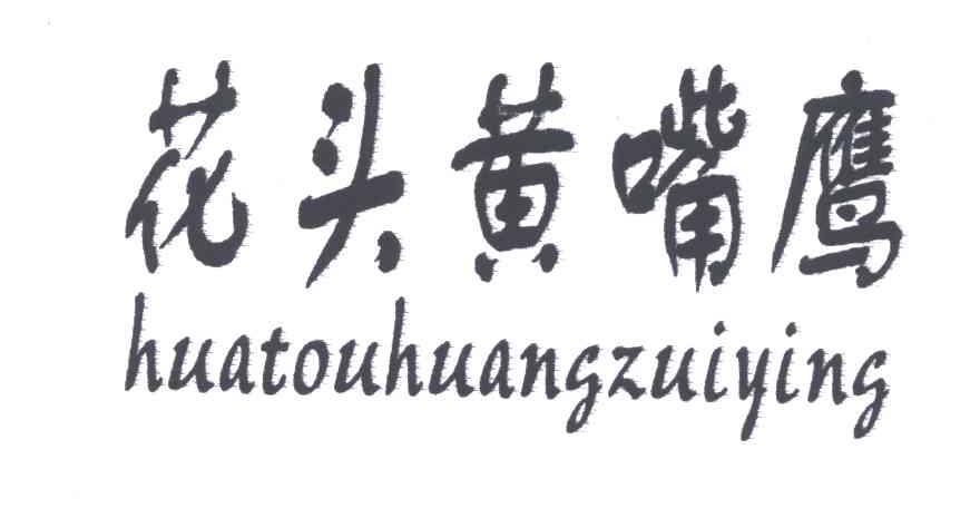 花头黄嘴鹰
