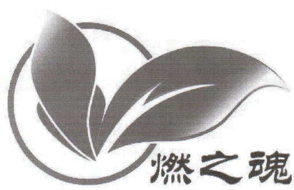 燃之魂
