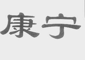 康宁
