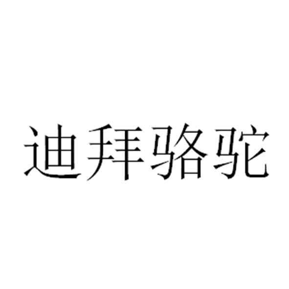迪拜骆驼