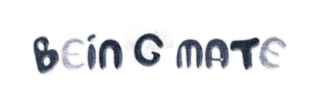 BEINGMATE
