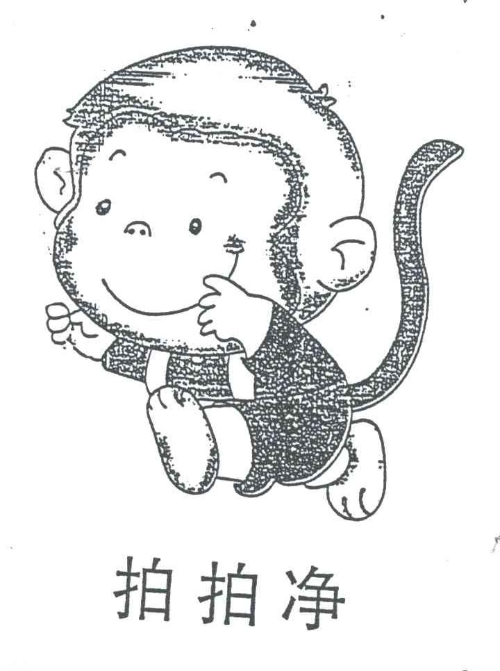 拍拍净
