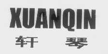 轩琴