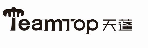 TEAMTOP 天蓬