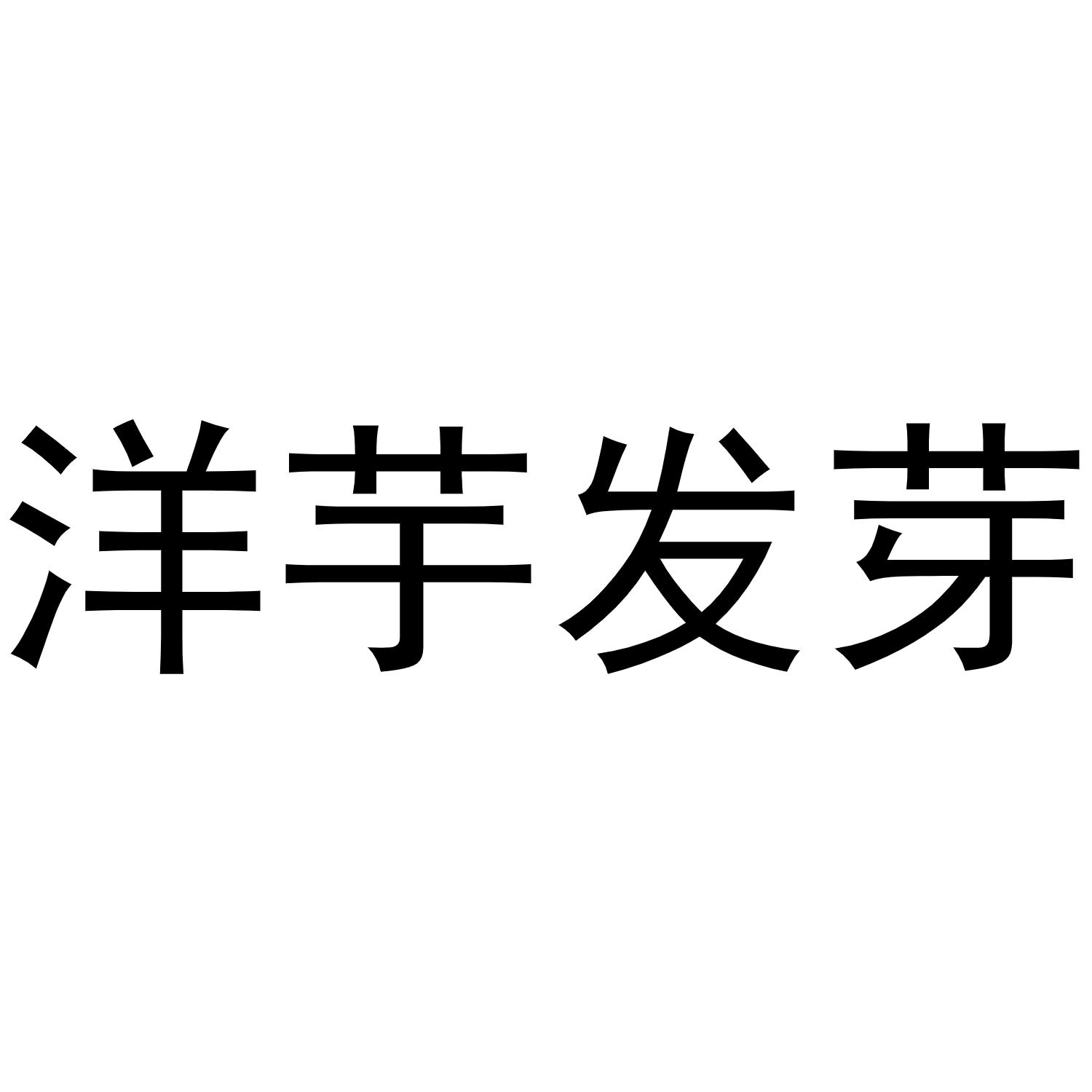 洋芋发芽