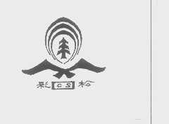 彩松