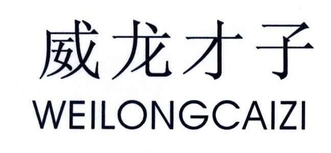 威龙才子