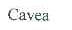 CAVEA