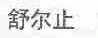 舒尔止