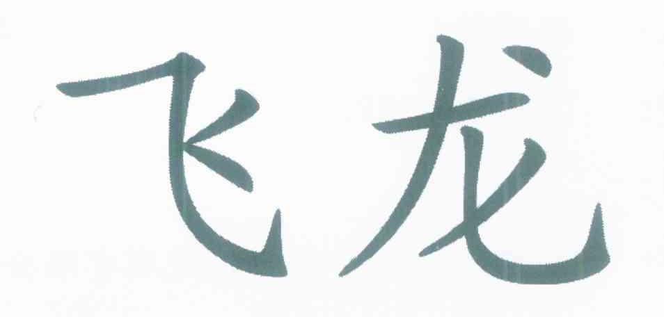 飞龙